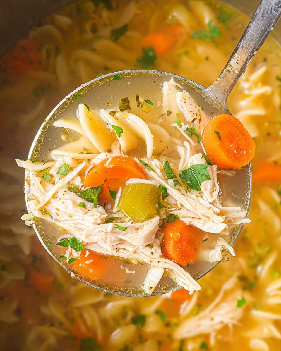 Crockpot Chicken Noodle Soup