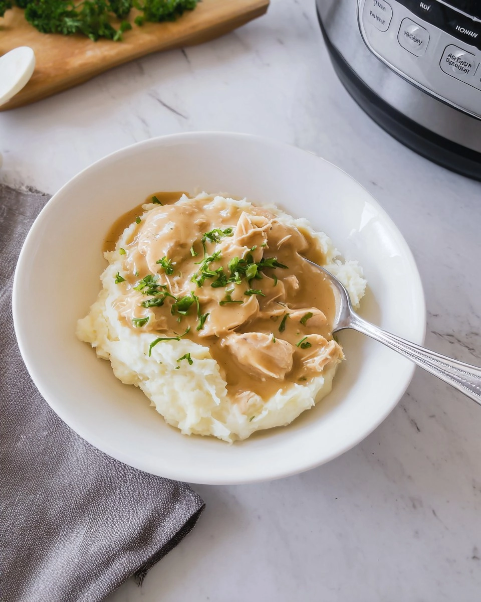 Dump-and-Go Crockpot Chicken and Gravy 65 Dump-and-Go Crockpot Chicken and Gravy