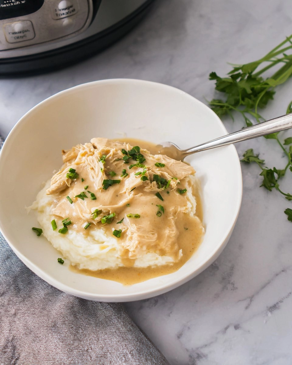Dump-and-Go Crockpot Chicken and Gravy 67 Dump-and-Go Crockpot Chicken and Gravy