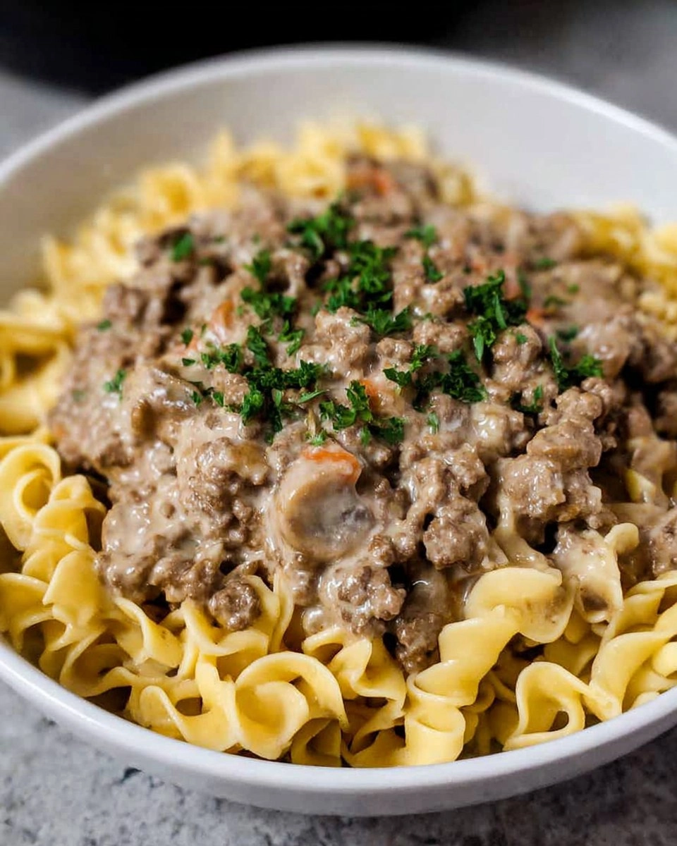 Ground Beef Stroganoff
